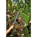 Machete - 22 Inch-4