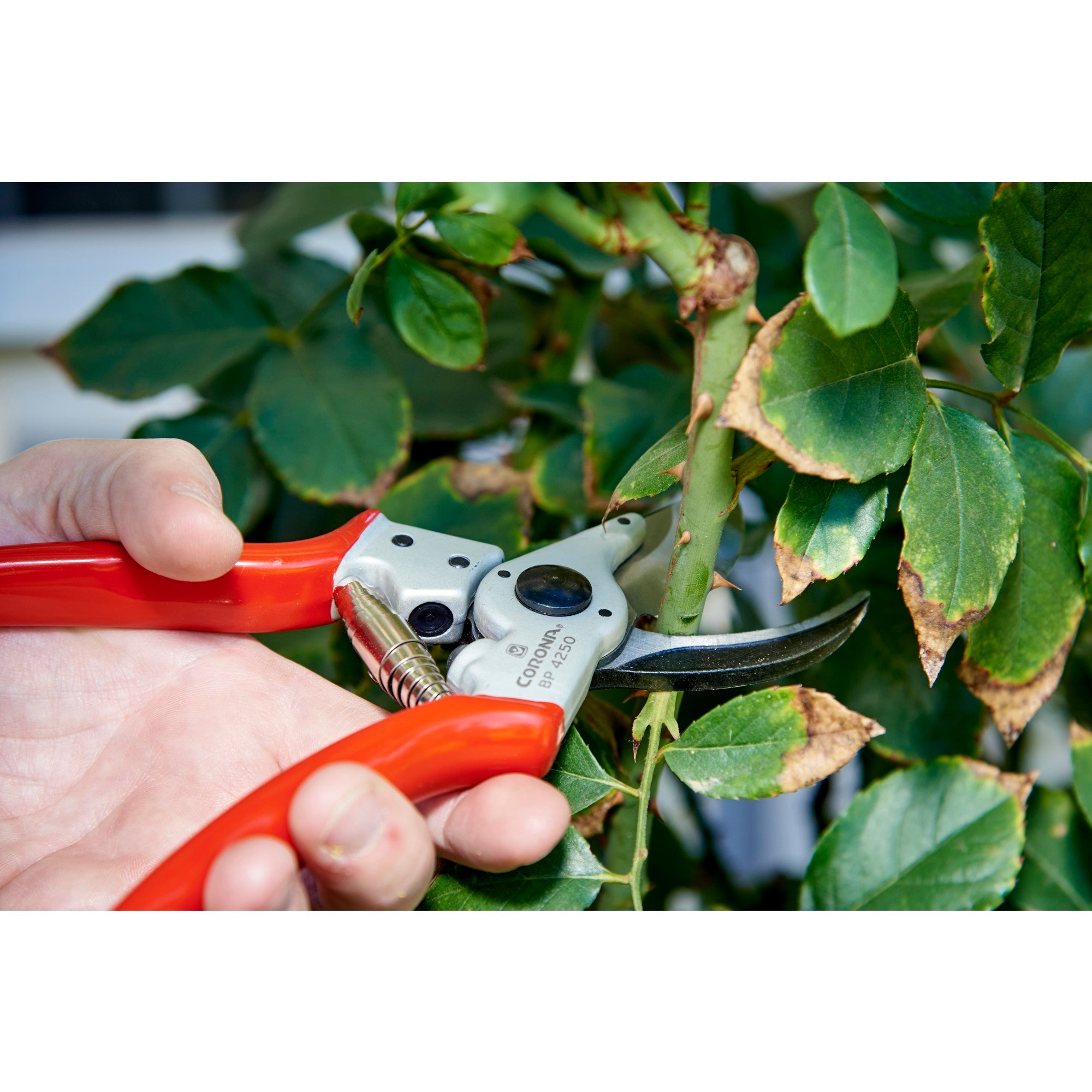 Aluminum Bypass Pruner, 1 in. Cut Capacity