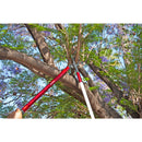 ClassicCUT® Bypass Lopper, 36 in., 2 in. Cut Capacity-8