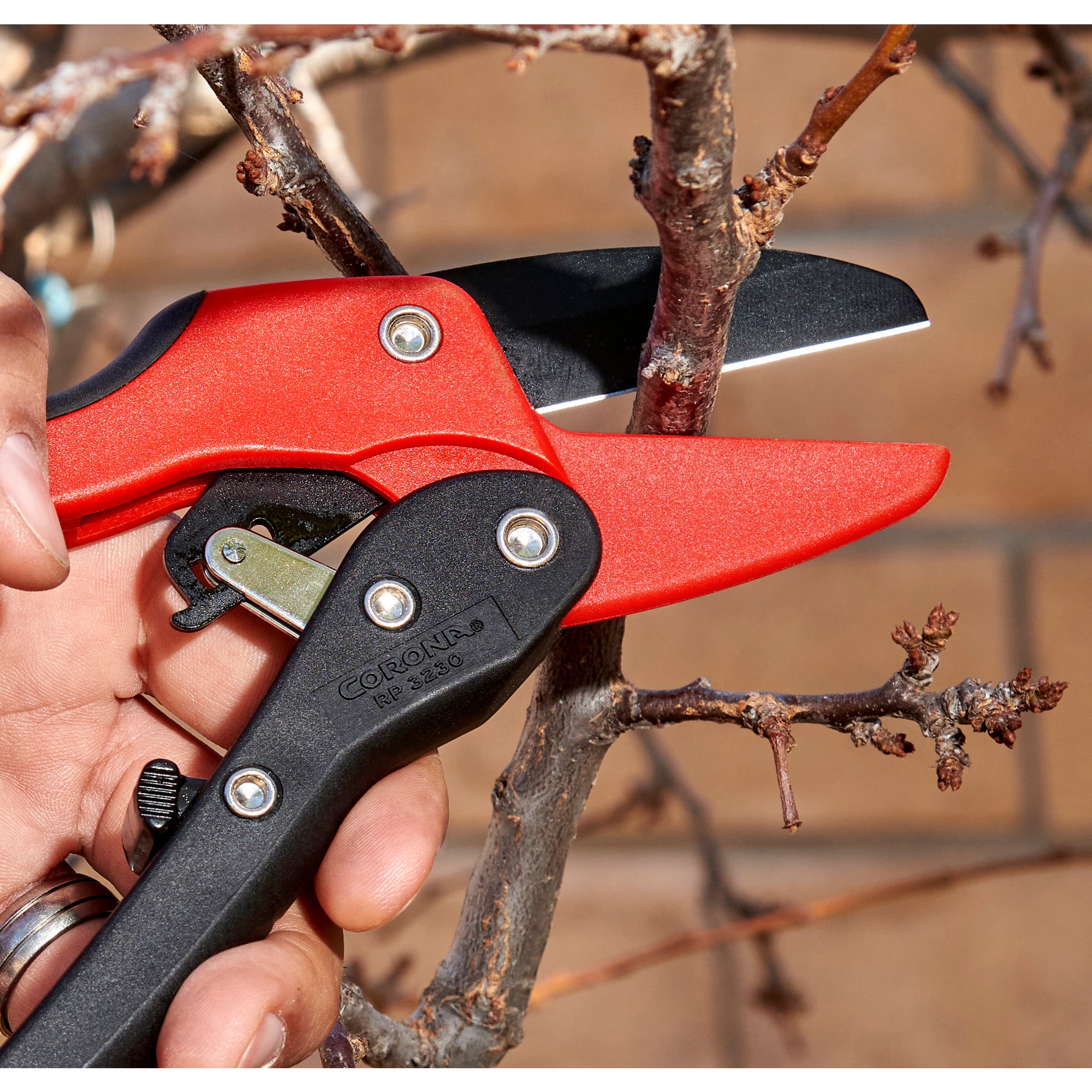 Ratchet Pruner, 3/4 in. Cut Capacity