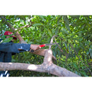 RazorTOOTH Saw® Arborist Folding Pruning Saw, 7 in. Blade-5