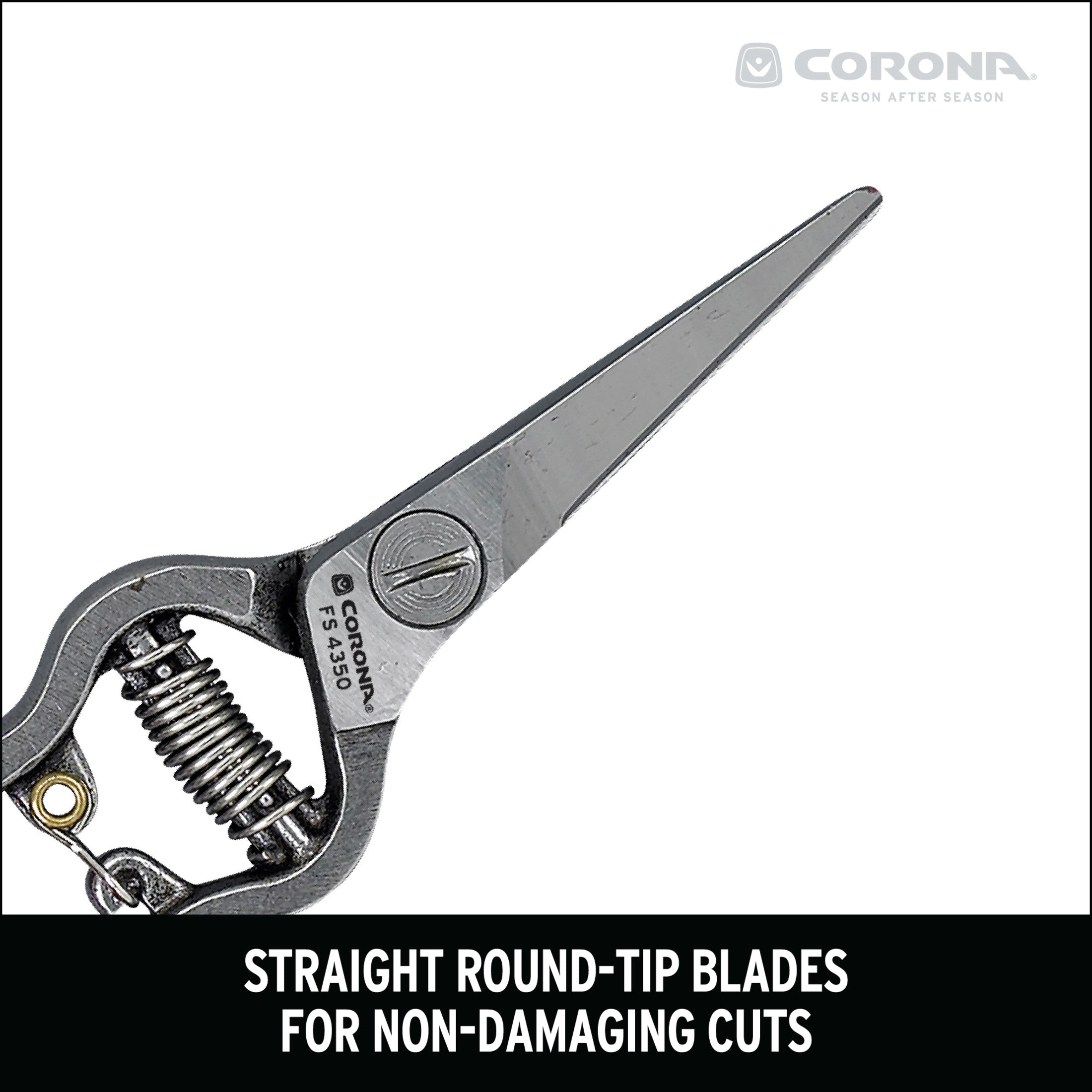 Thinning Shears