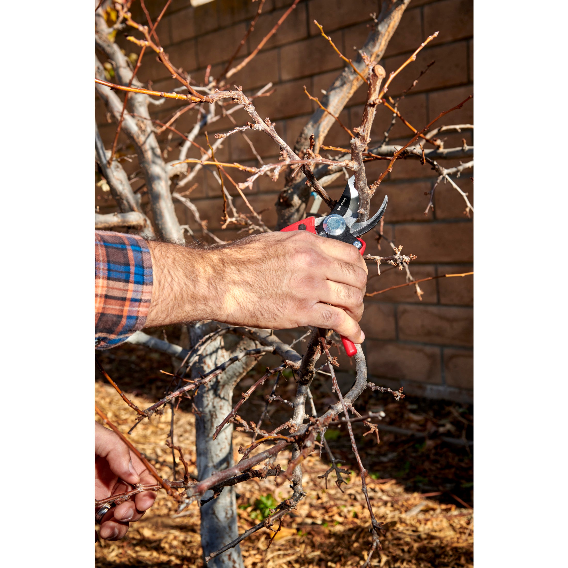 Ergonomic Bypass Pruner, 5/8 in. Cut Capacity