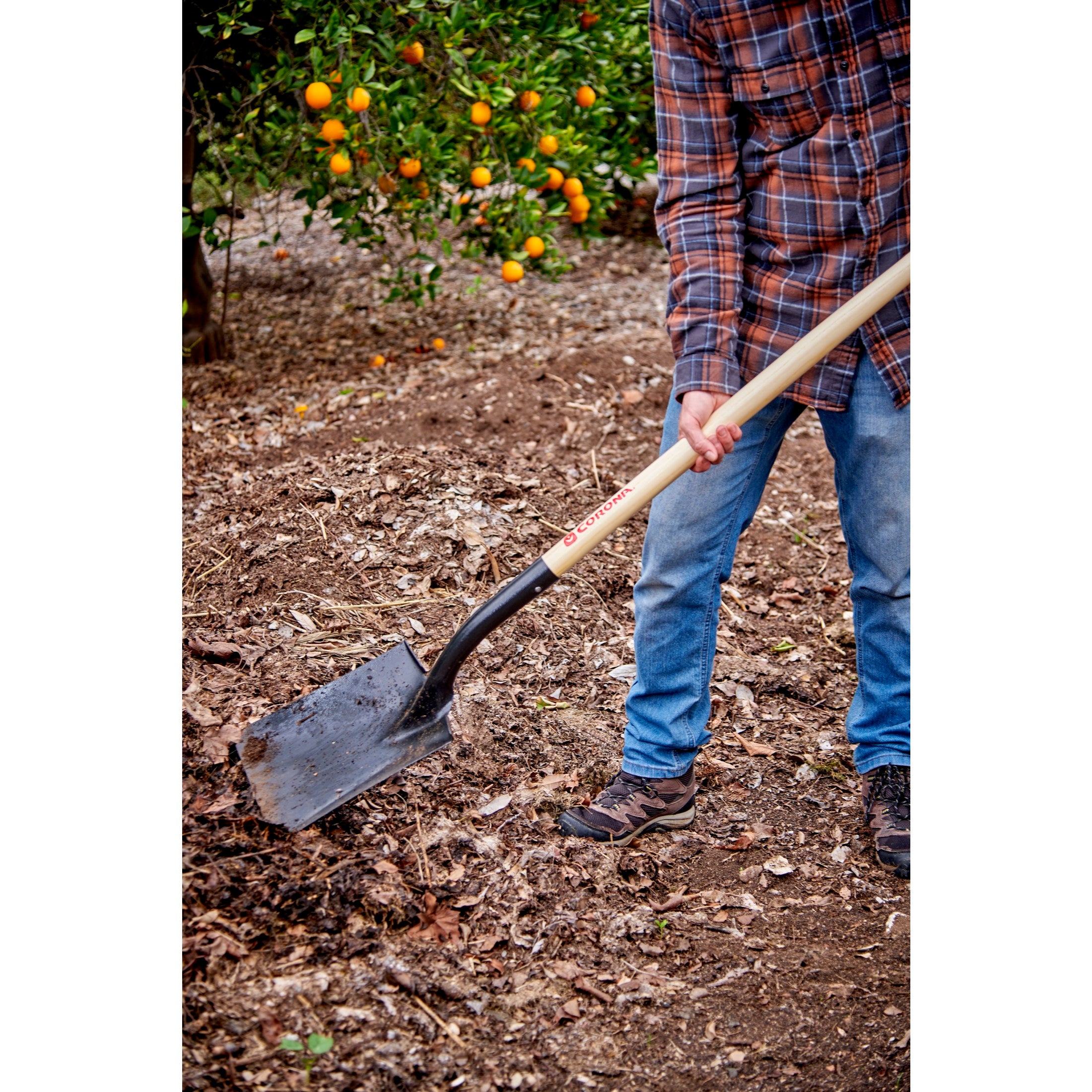 Square Point Shovel, 15-Gauge, 12. in Head, 48 in. Wood Handle