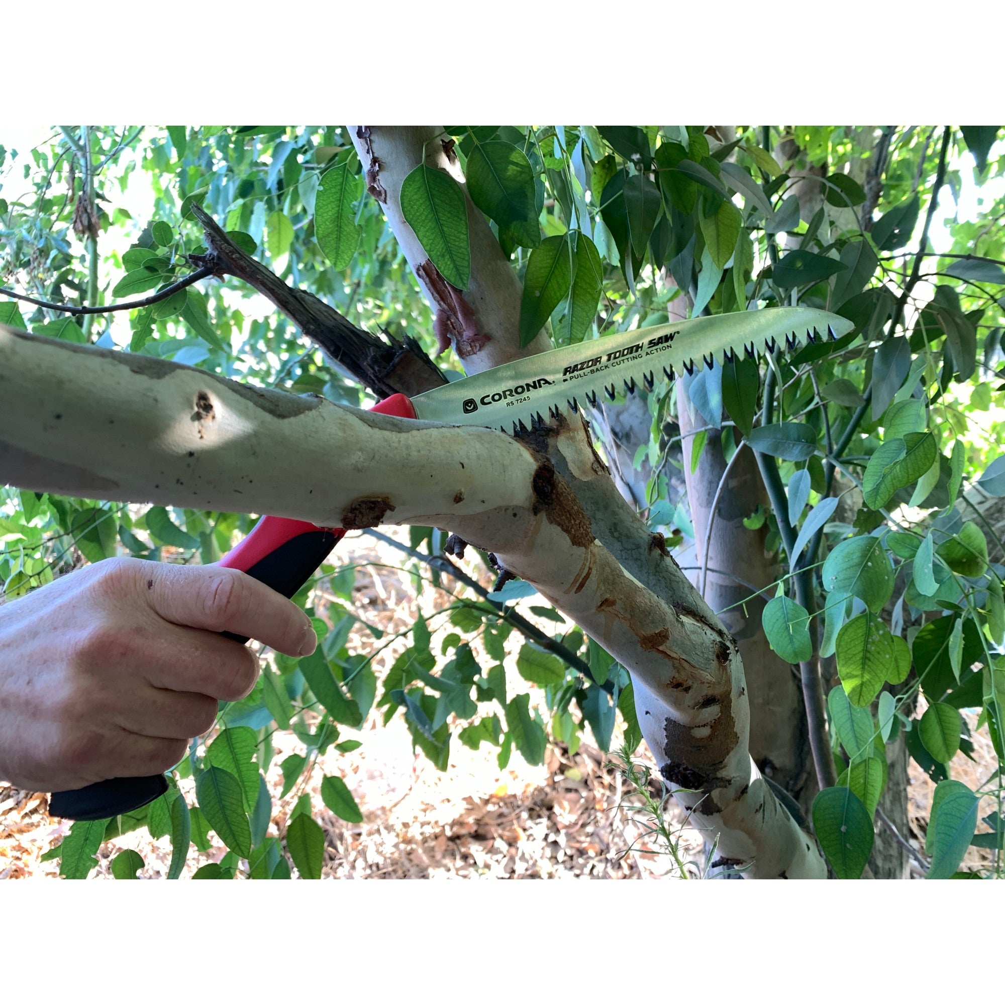 RazorTOOTH Saw® Folding Pruning Saw, 7 in. Blade