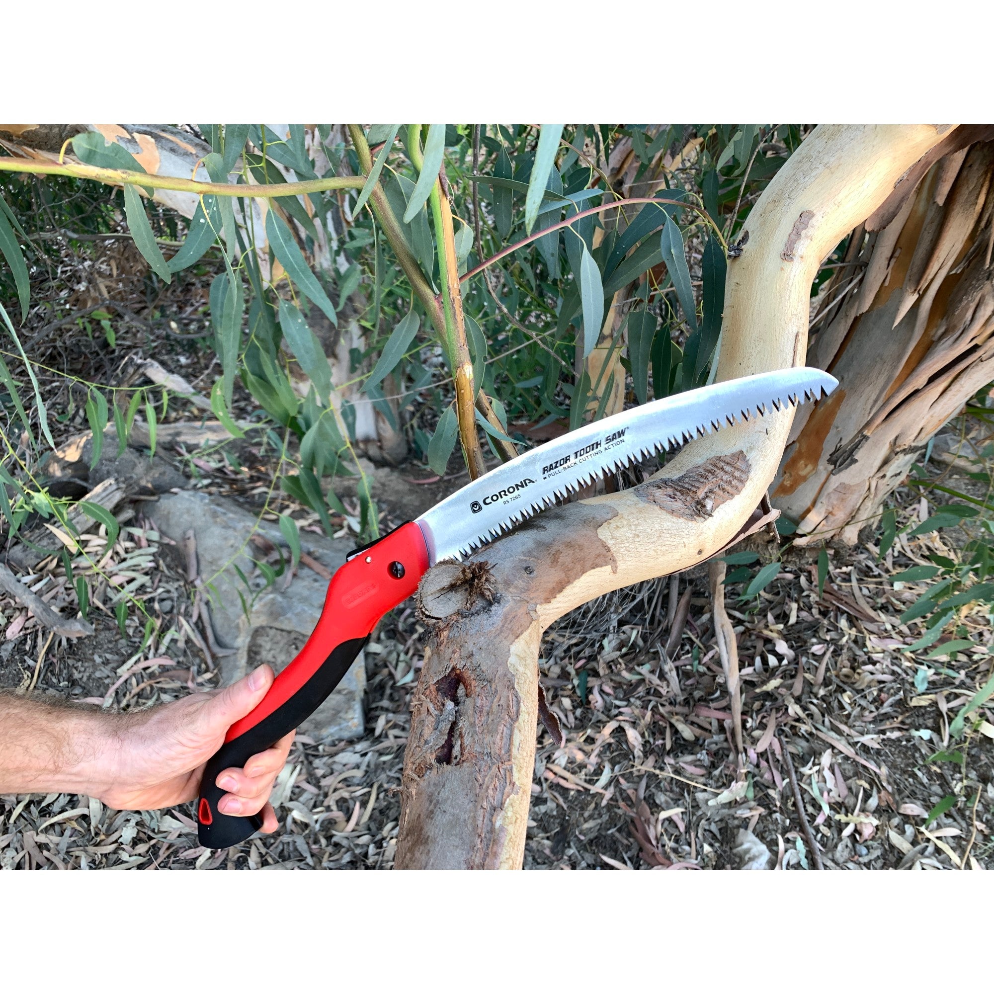 RazorTOOTH Saw® Folding Pruning Saw, 10 in. Blade