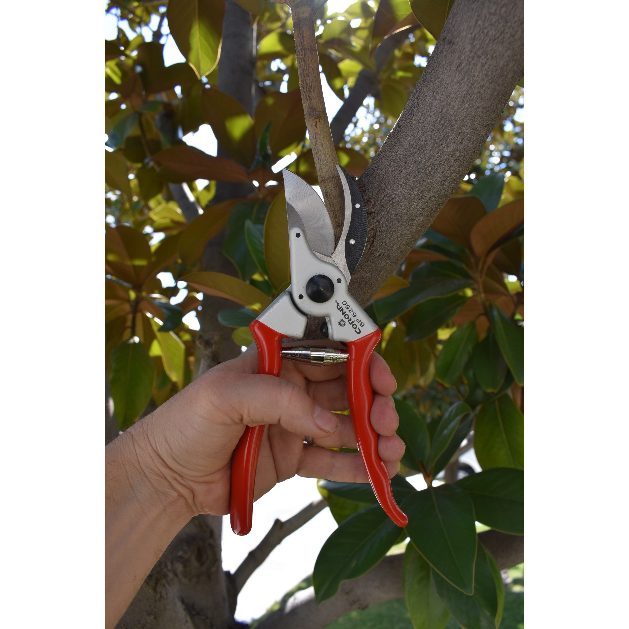 Aluminum Bypass Pruner, 1 in. Cut Capacity