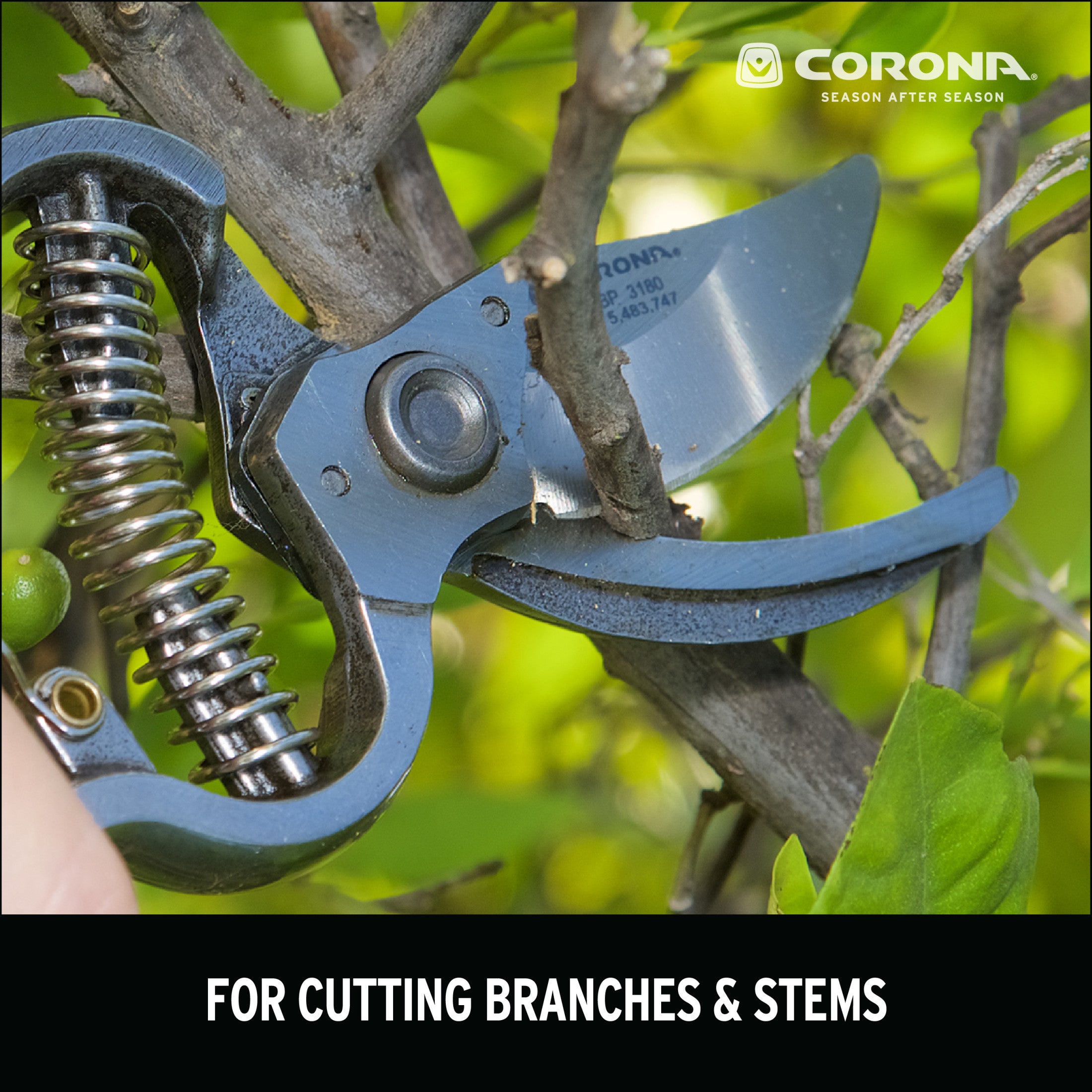 ClassicCUT® Bypass Pruner, 1 in. Cut Capacity