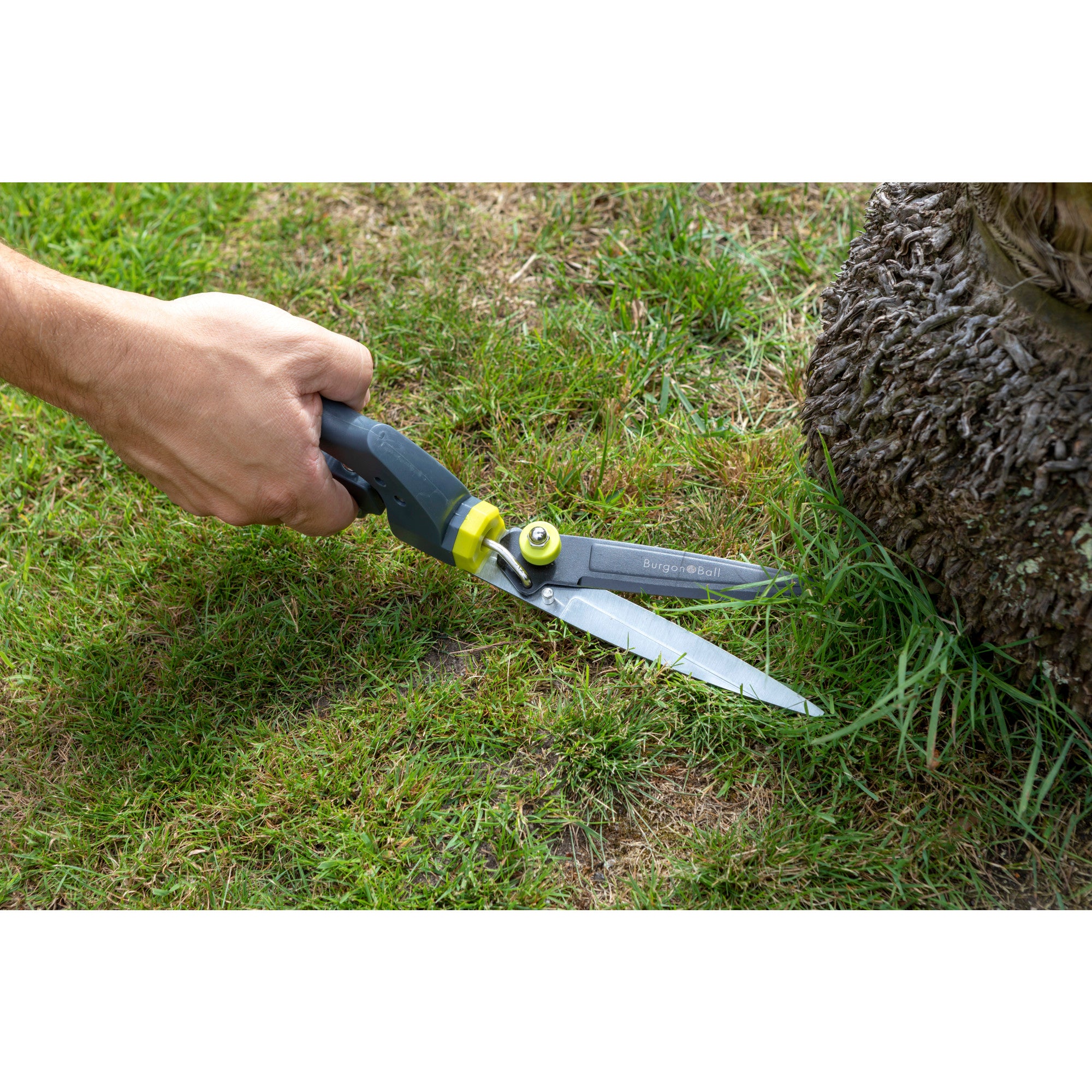 Swivel Grass Shears, RHS Endorsed