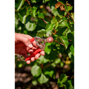 Short Curved Snips, 1 in. Blades-4