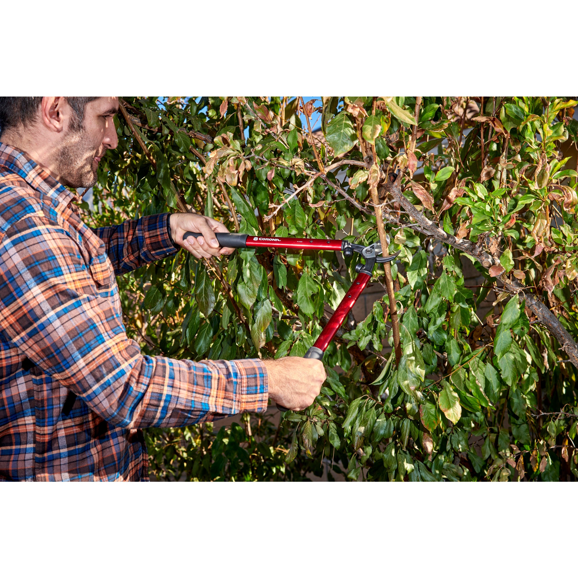 High-Performance Vine Lopper, 19 in. Handle, 1-1/4 in. Cut Capacity