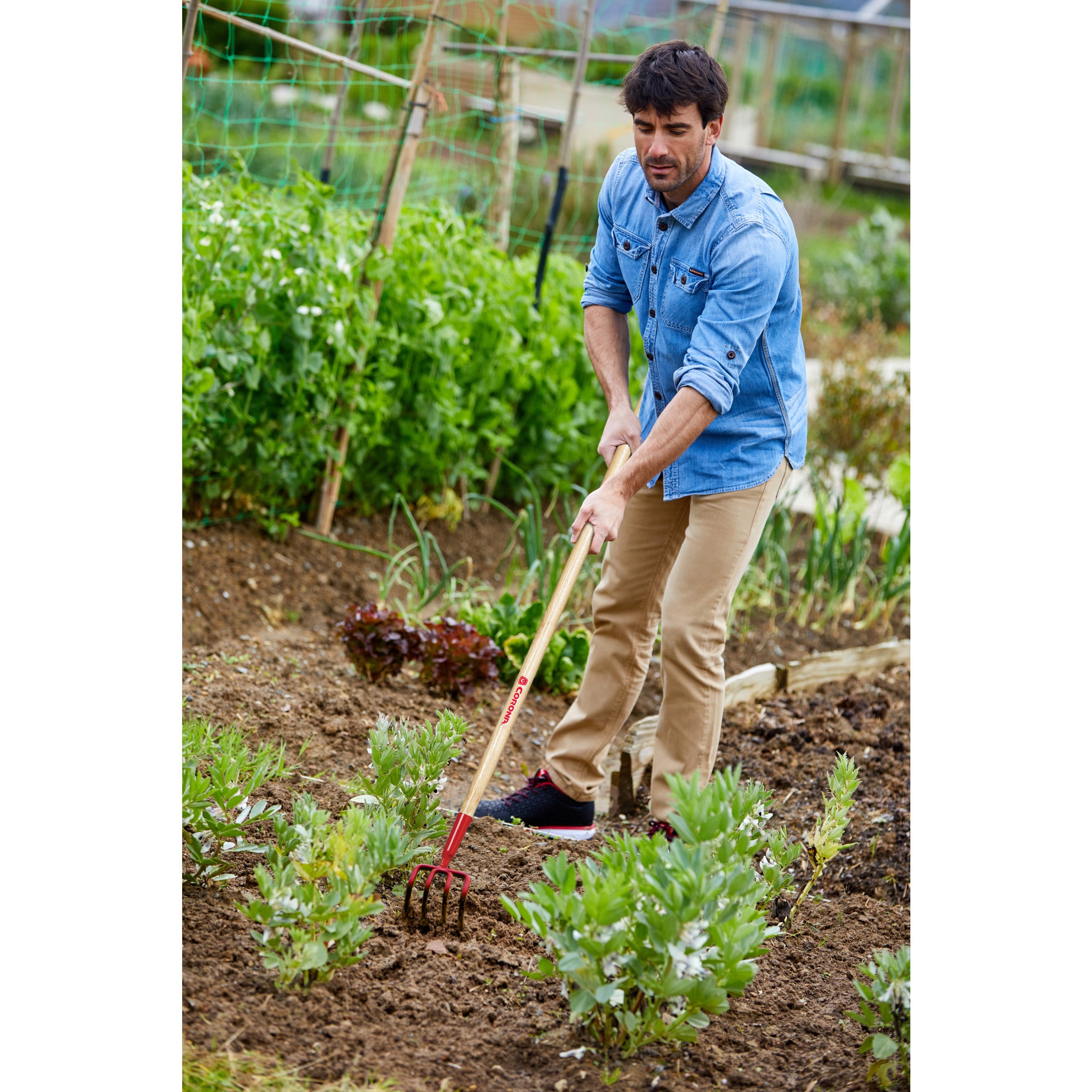 Cultivator, 4 Prong, 54 in. Ash Hardwood Handle