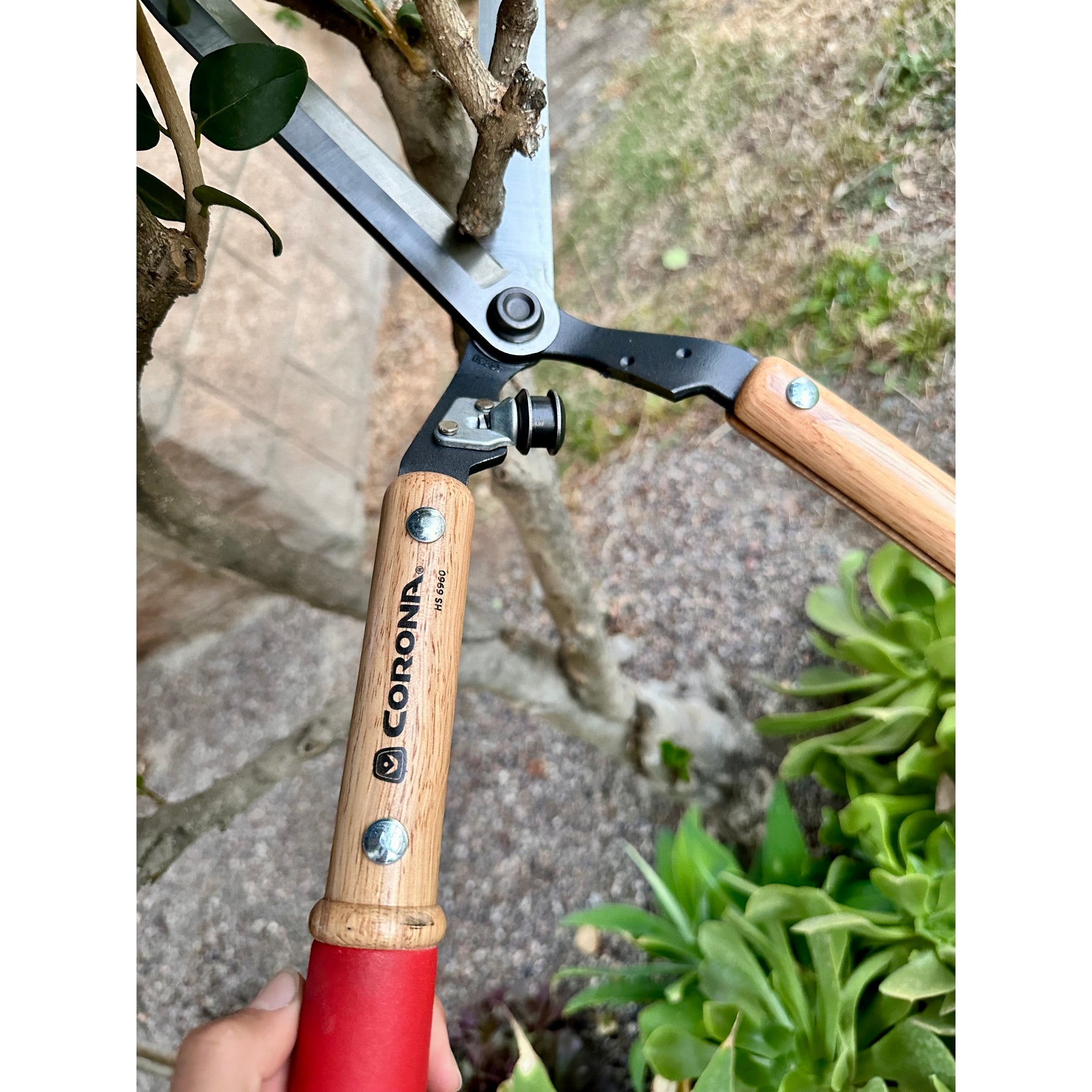 garden hedge scissors ResharpenableBLADE Hedge Shears, 10 in. Blades, 9-1/4 in. Hardwood Handles