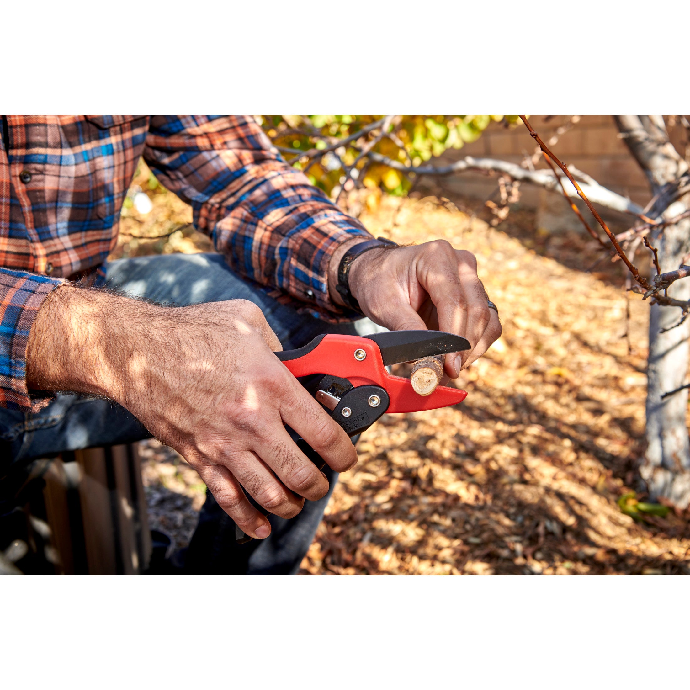 Ratchet Pruner, 3/4 in. Cut Capacity