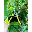 Florabrite™ Bypass Pruner, Neon Yellow, 1 in. Cut Capacity, RHS Endorsed-7