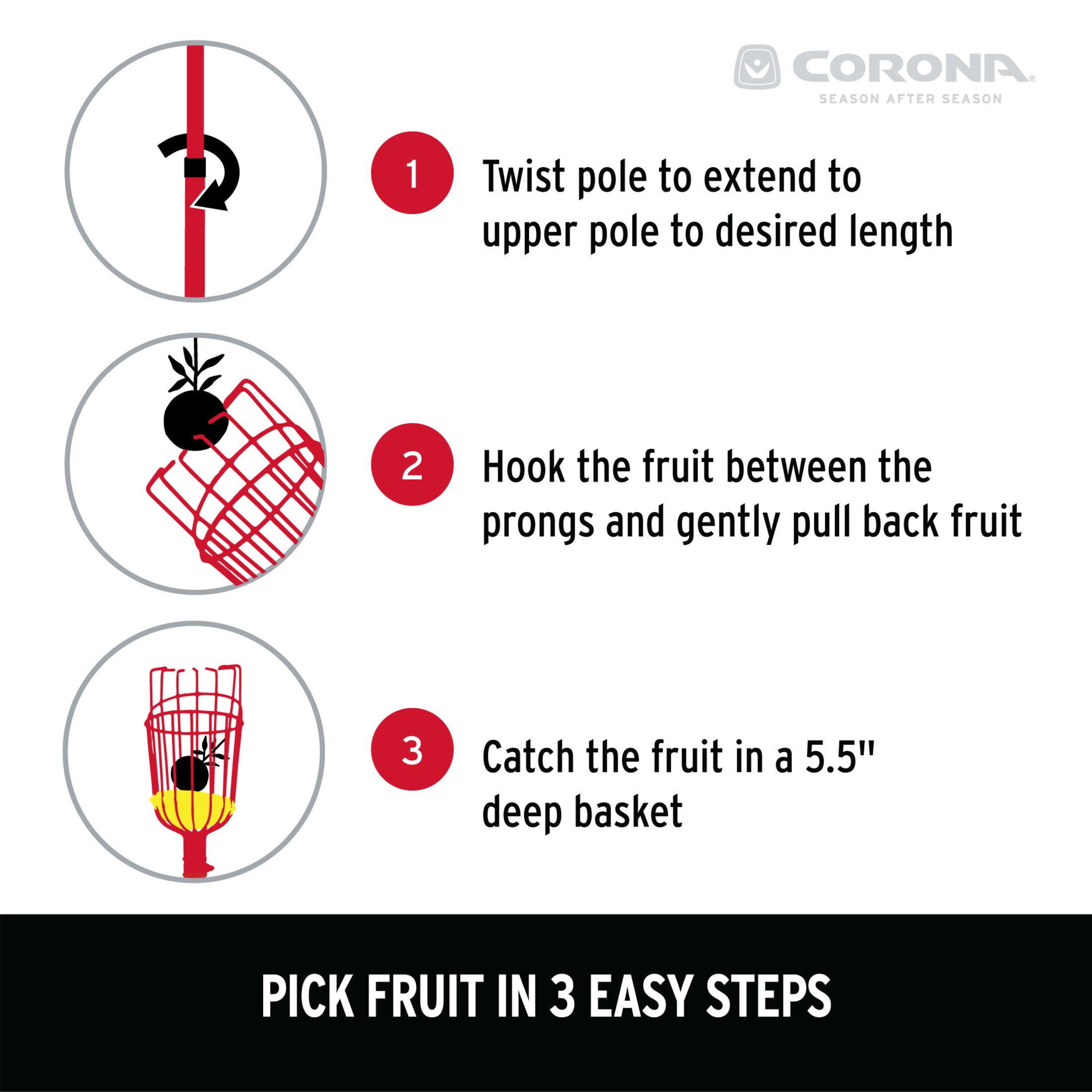 Extendable Fruit Picker, 12 ft.