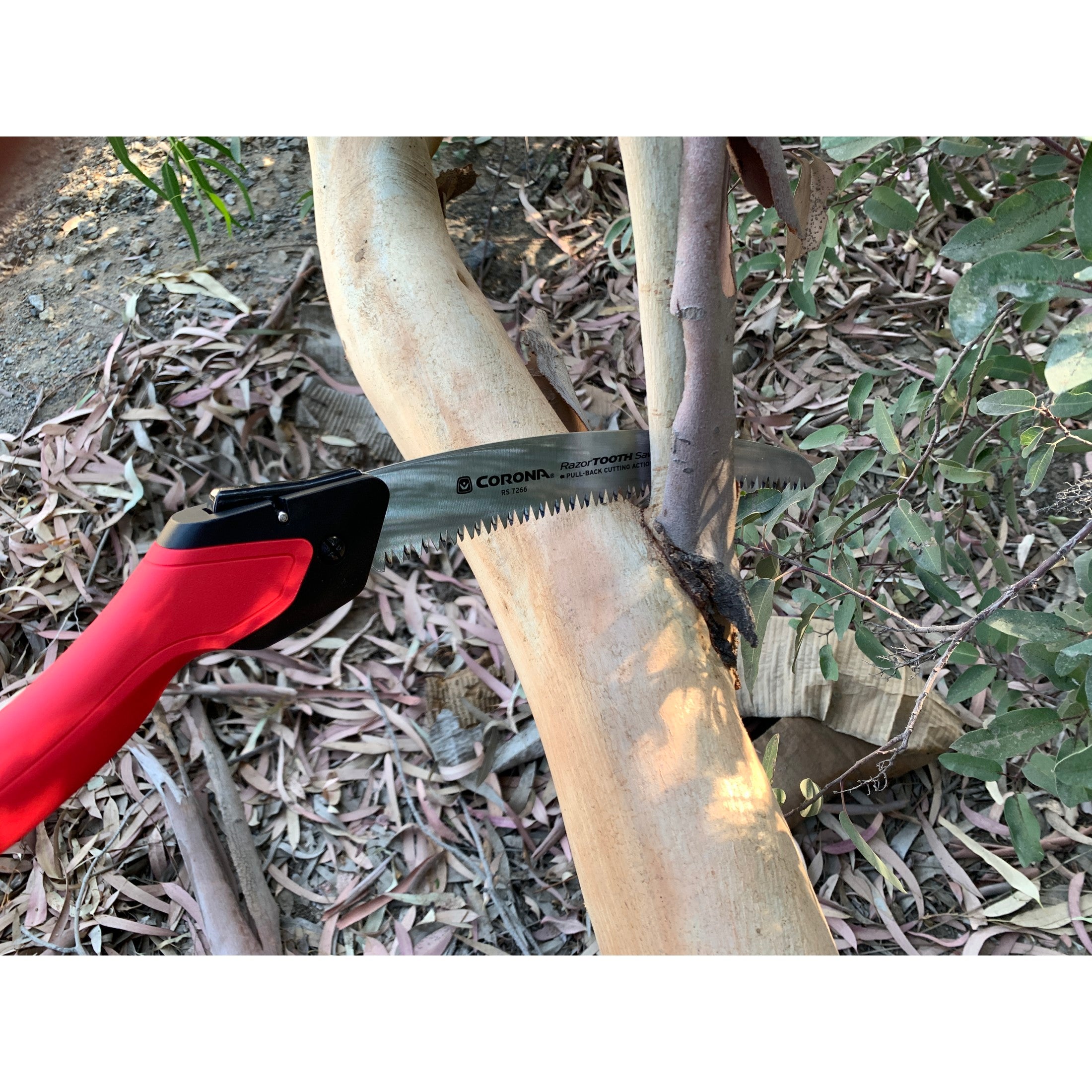 RazorTOOTH Saw™ Folding Pruning Saw, 10 in. Blade