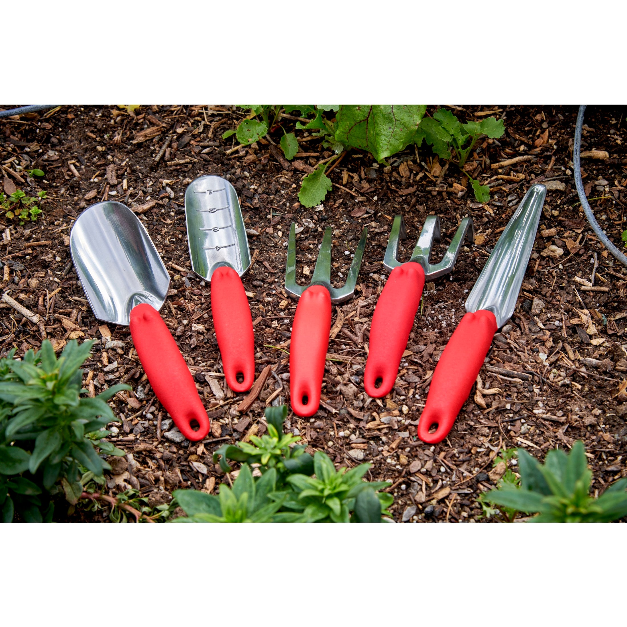 Trowel