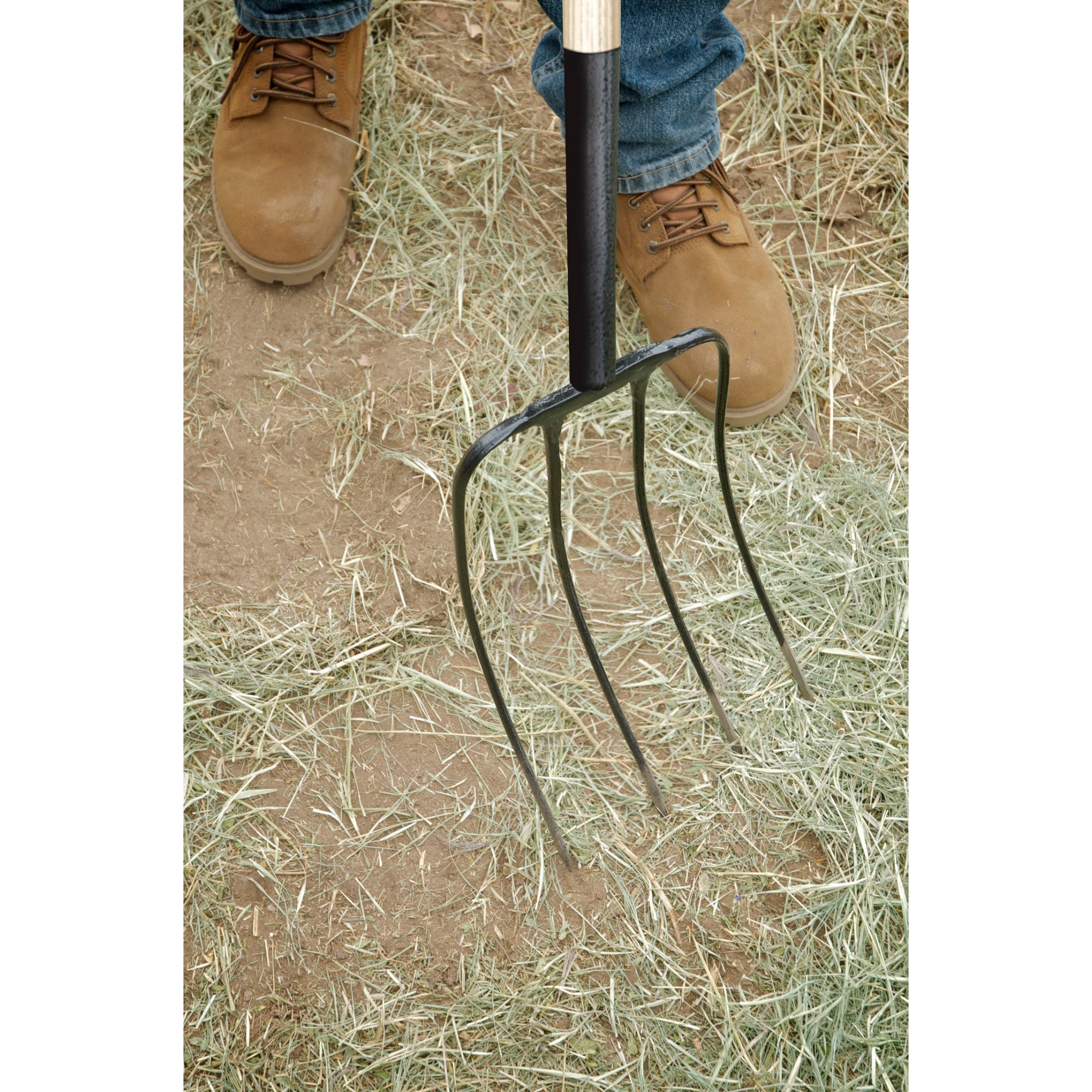 Manure Fork, 4 Tine