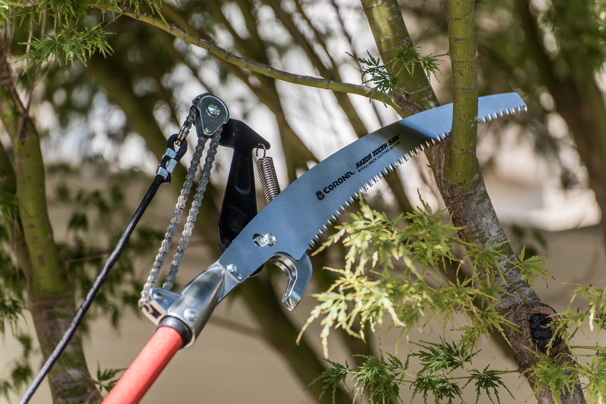 Dual Compound-Action Tree Pruner with RazorTOOTH Saw™ Blade, 14 ft.