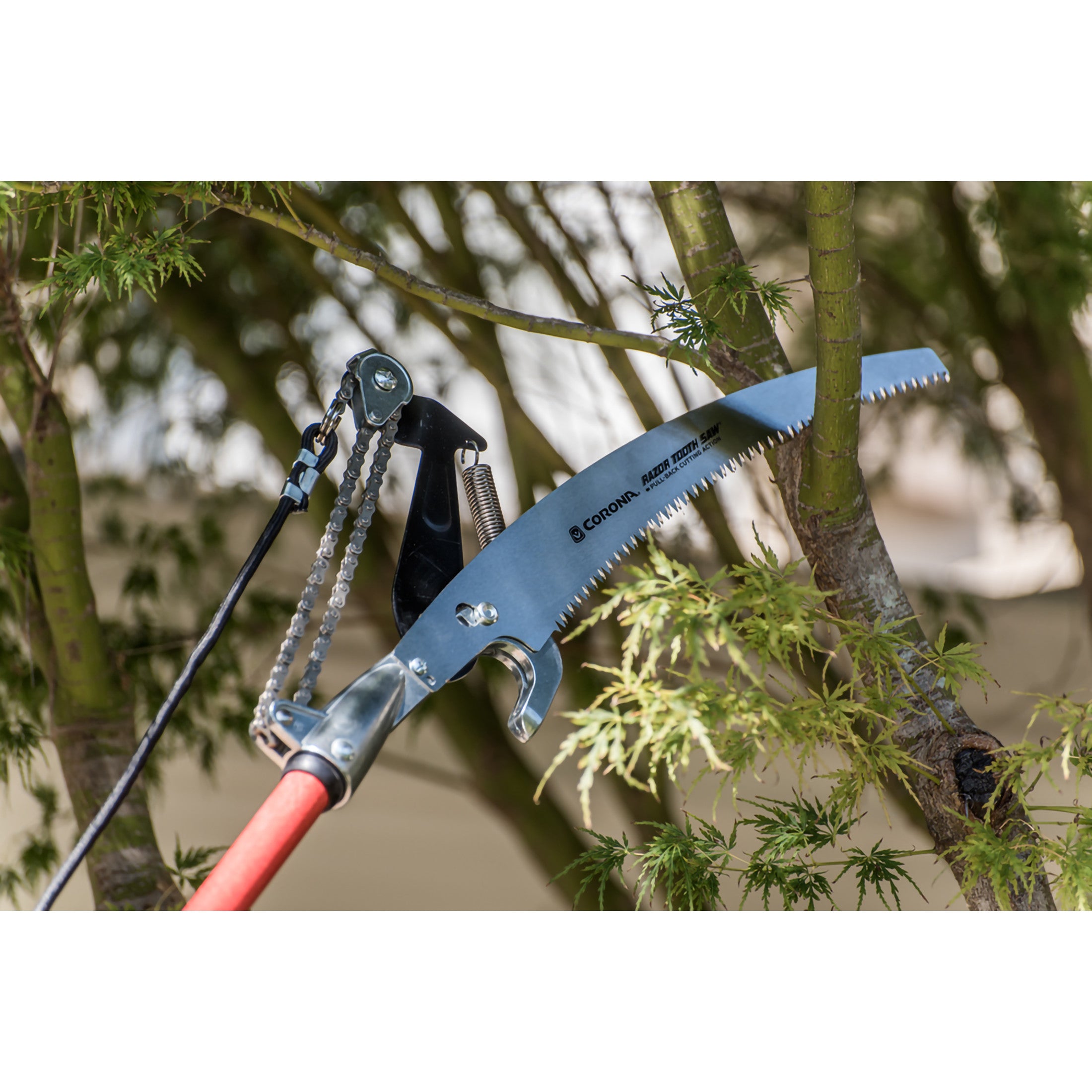 Dual Compound-Action Tree Pruner with RazorTOOTH Saw® Blade, 14 ft.