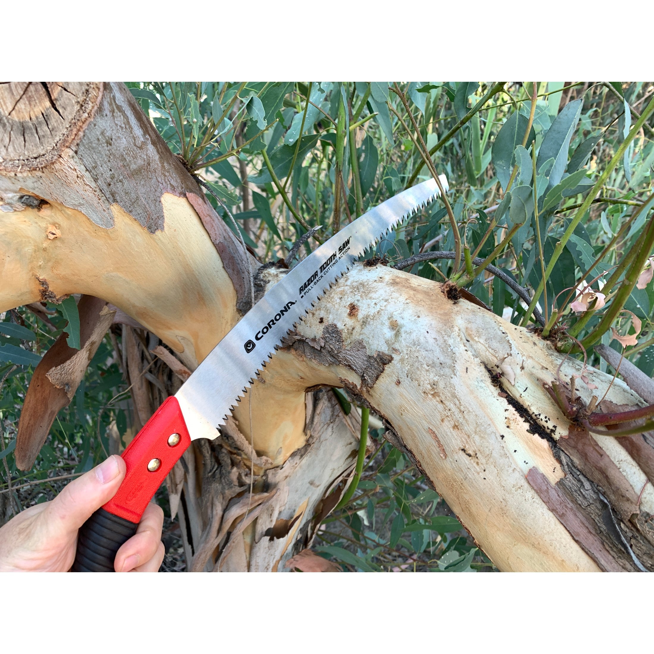 RazorTOOTH Saw™ Arborist Pruning Saw, 13 in. Blade