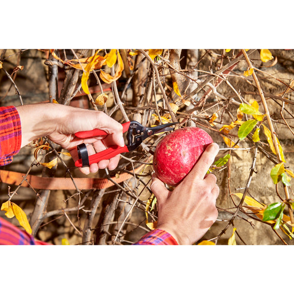 Long Curved Snips, 1-3/4 in. Blades