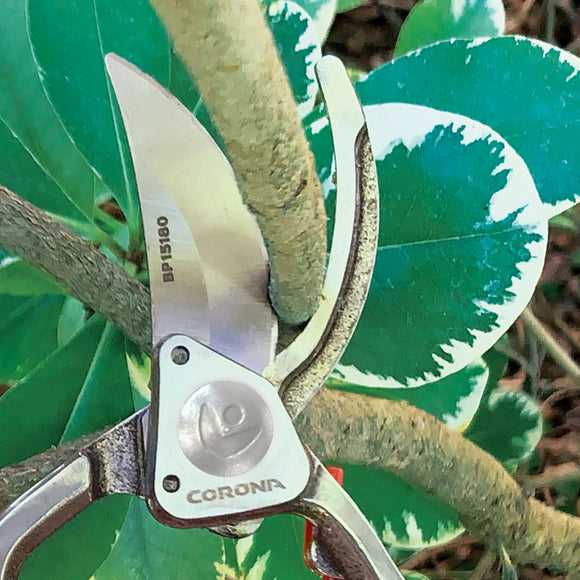 ClassicCUT® Bypass Pruner, 1 in. Cut Capacity