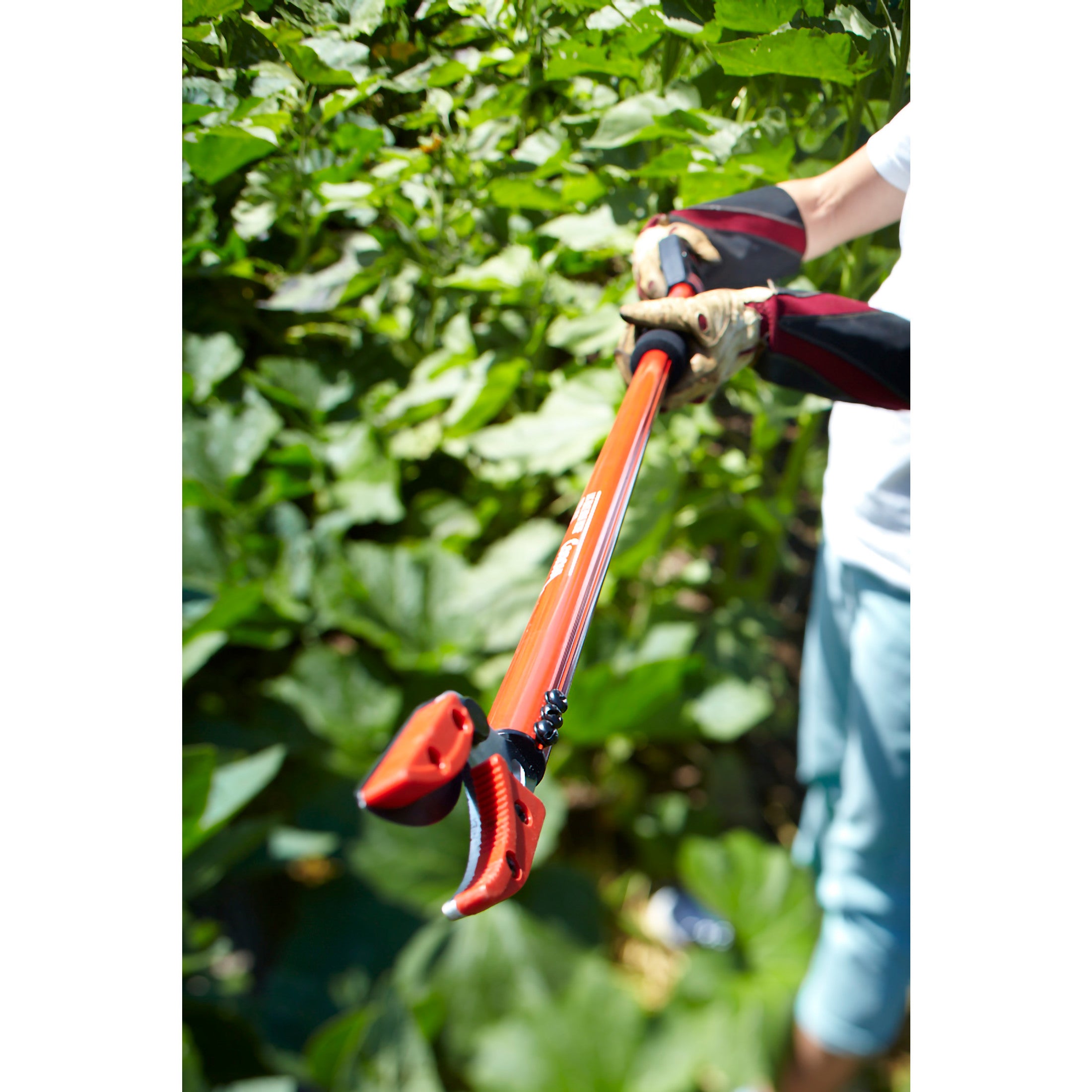 Cut 'n' HOLD Long Reach Bypass Pruner, 1/2 in. Cut Capacity