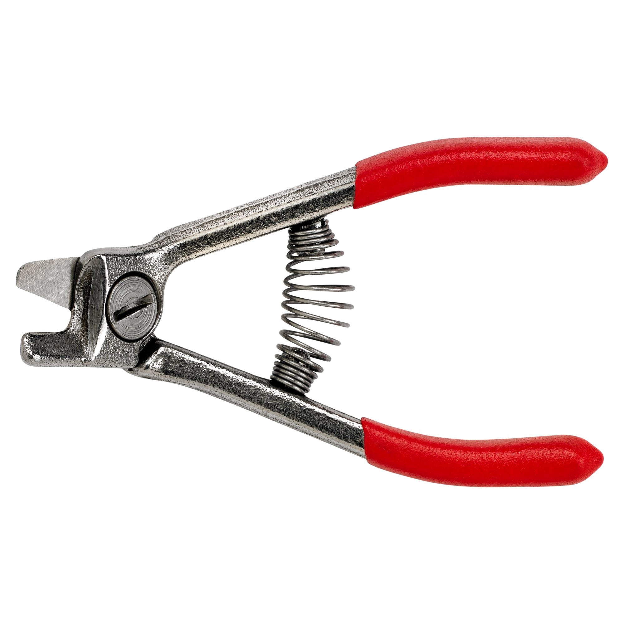 Citrus Shears