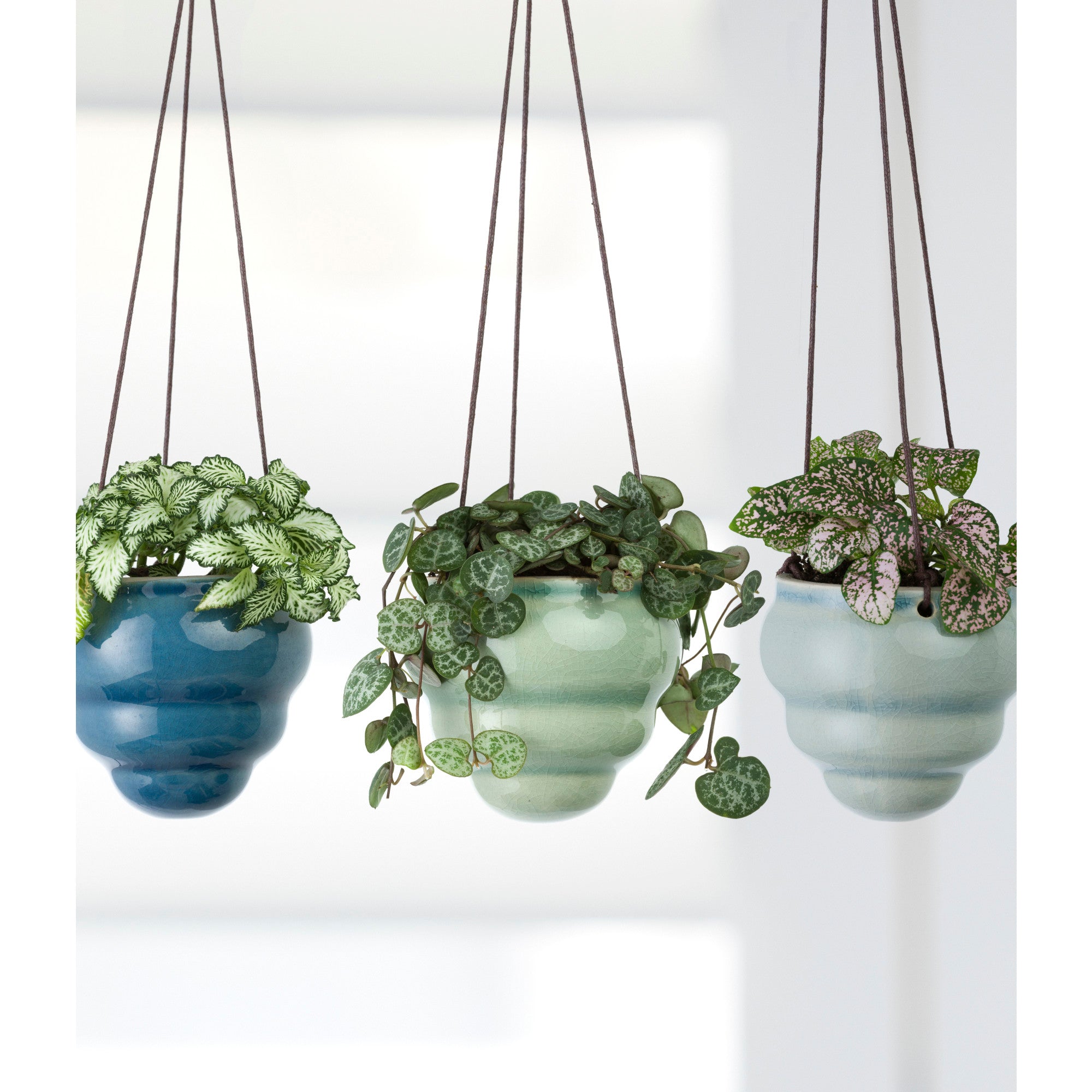 Hanging Baby Bombini Trio Vases