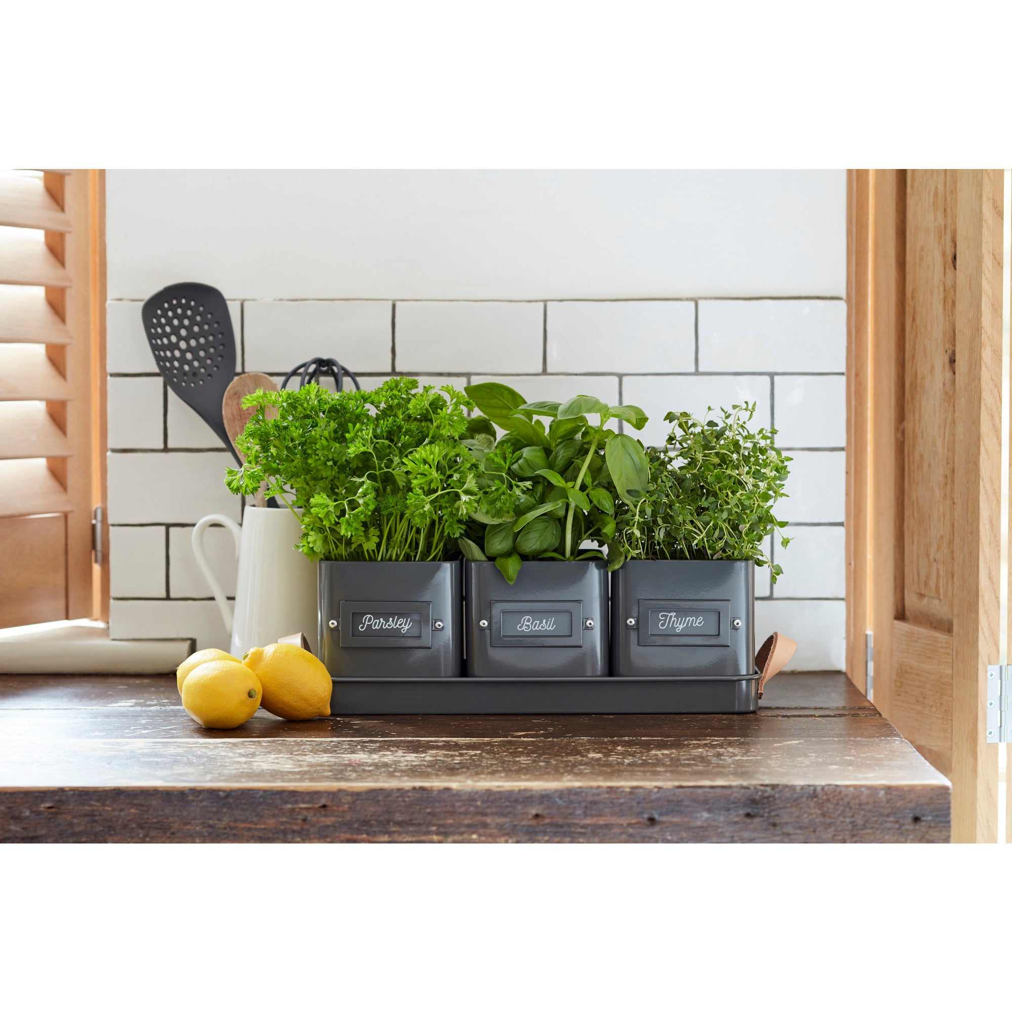 3 Herb Pots with Leather Handled Tray, Charcoal