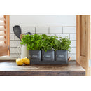 3 Herb Pots with Leather Handled Tray, Charcoal-2