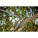 ClassicCUT® Bypass Lopper, 31 in., 1-3/4 in. Cut Capacity-3