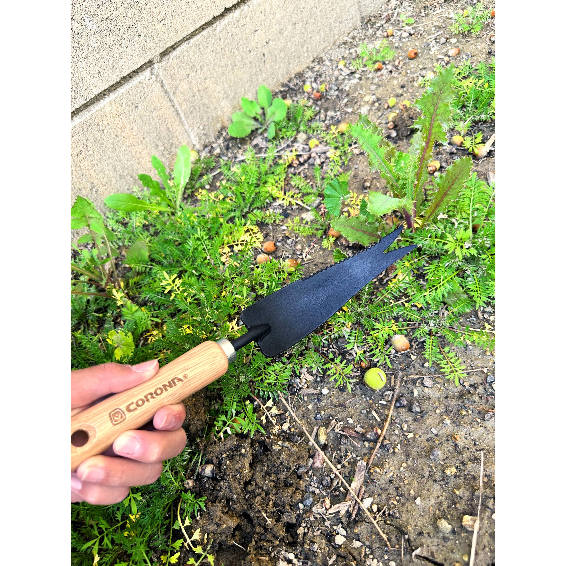 Classic Wooden Handle Weeder