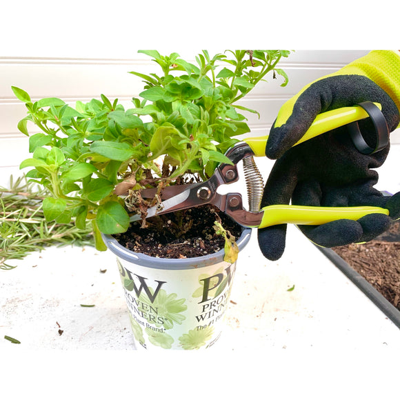 Florabrite™ Flower & Harvesting Snip, Neon Yellow, RHS Endorsed