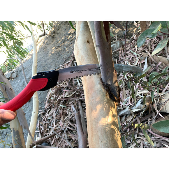 RazorTOOTH Saw® Folding Pruning Saw, 10 in. Blade