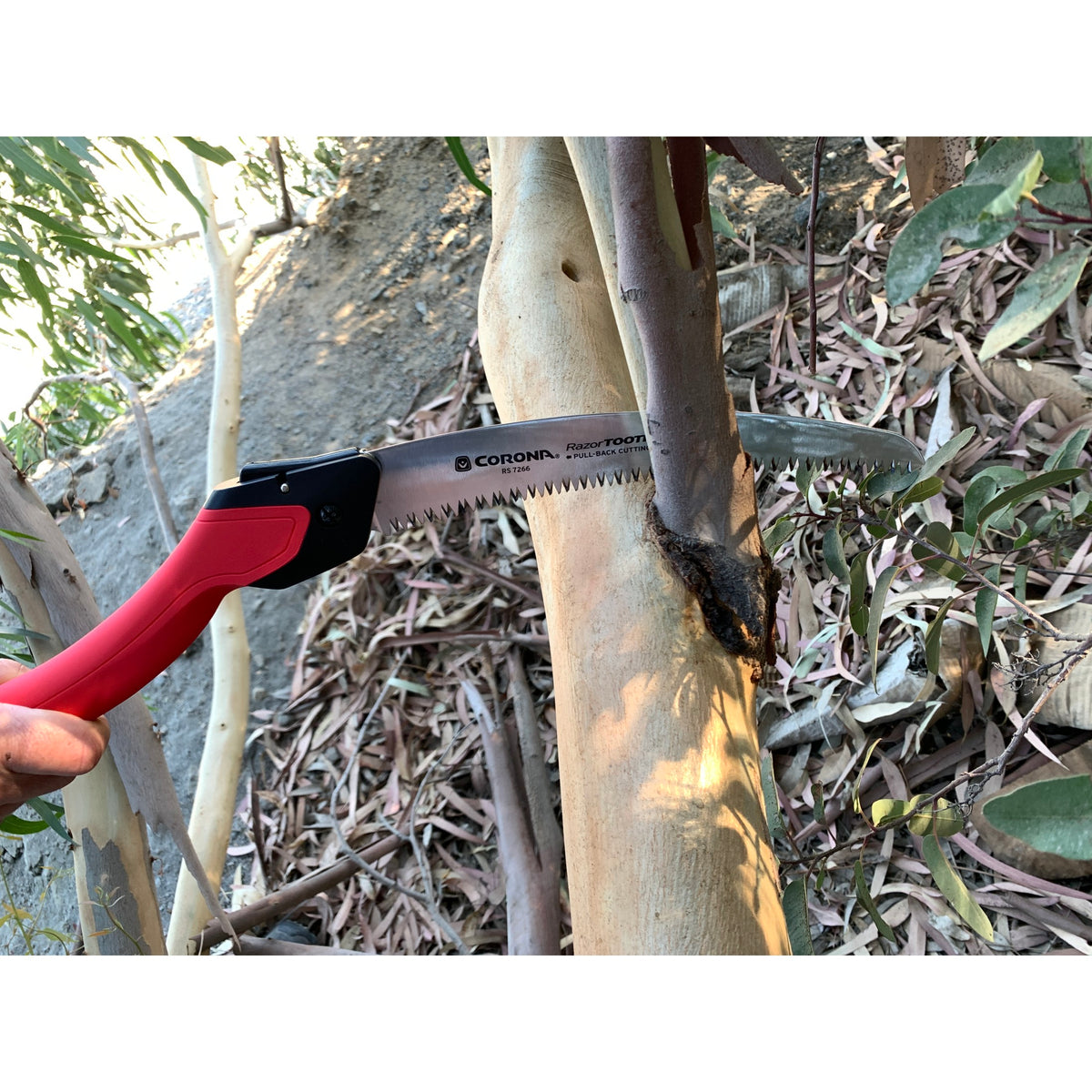 RazorTOOTH Saw® Folding Pruning Saw, 10 in. Blade | Corona Clipper Inc.