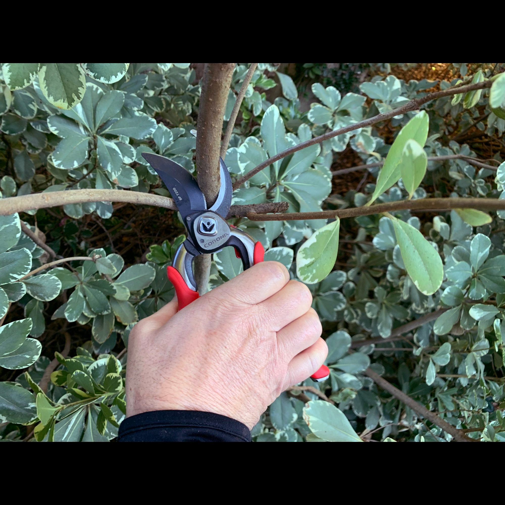 ProCUT Bypass Pruner, 1 in. Cut Capacity