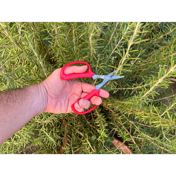 Hydroponic Scissors