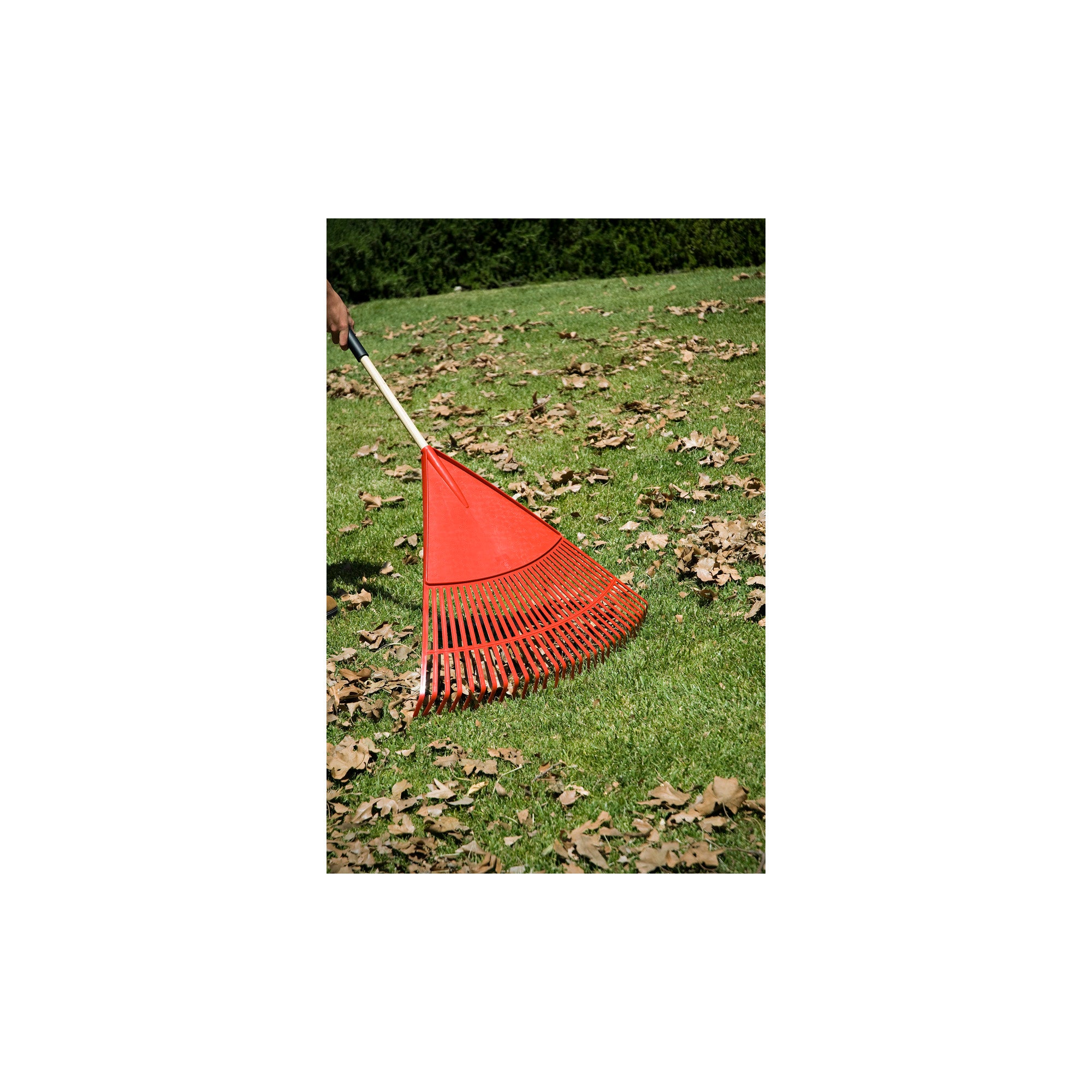 Poly Leaf Rake, 24 in. Head, 26 Tines, Wood Handle | Corona Tools