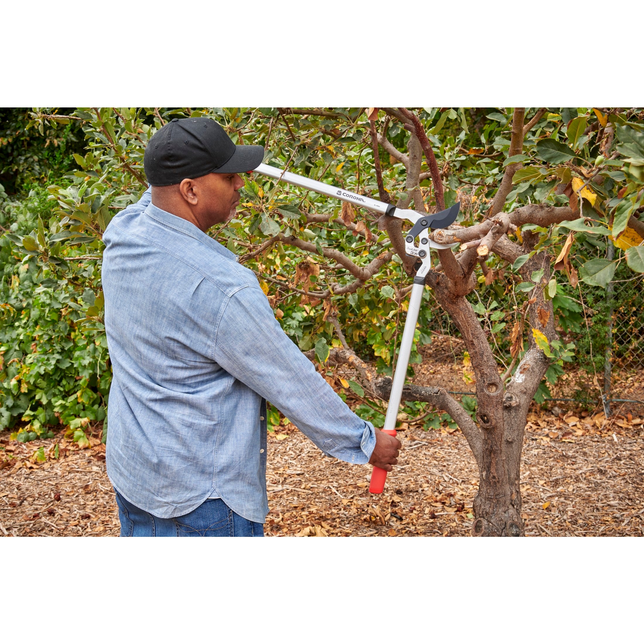 DualLINK Bypass Lopper, 1-3/4 in. Cut Capacity | Corona Clipper Inc.