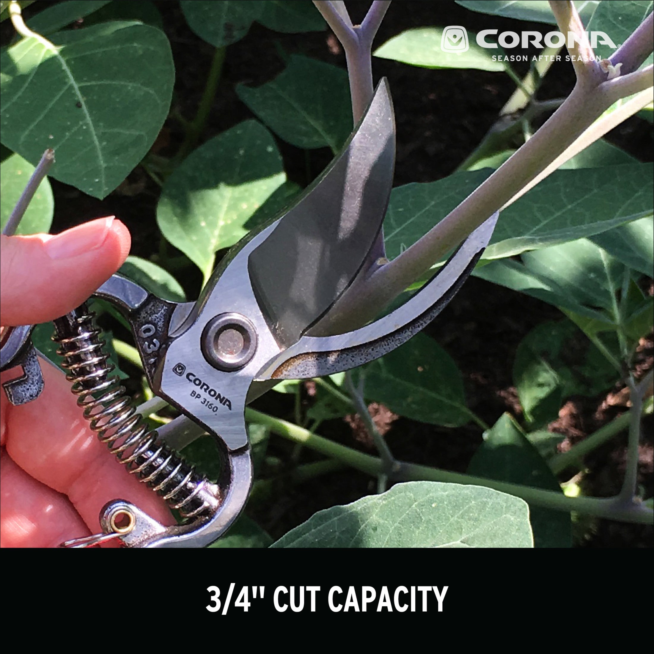 ClassicCUT® Bypass Pruner, 3/4 in. Cut Capacity