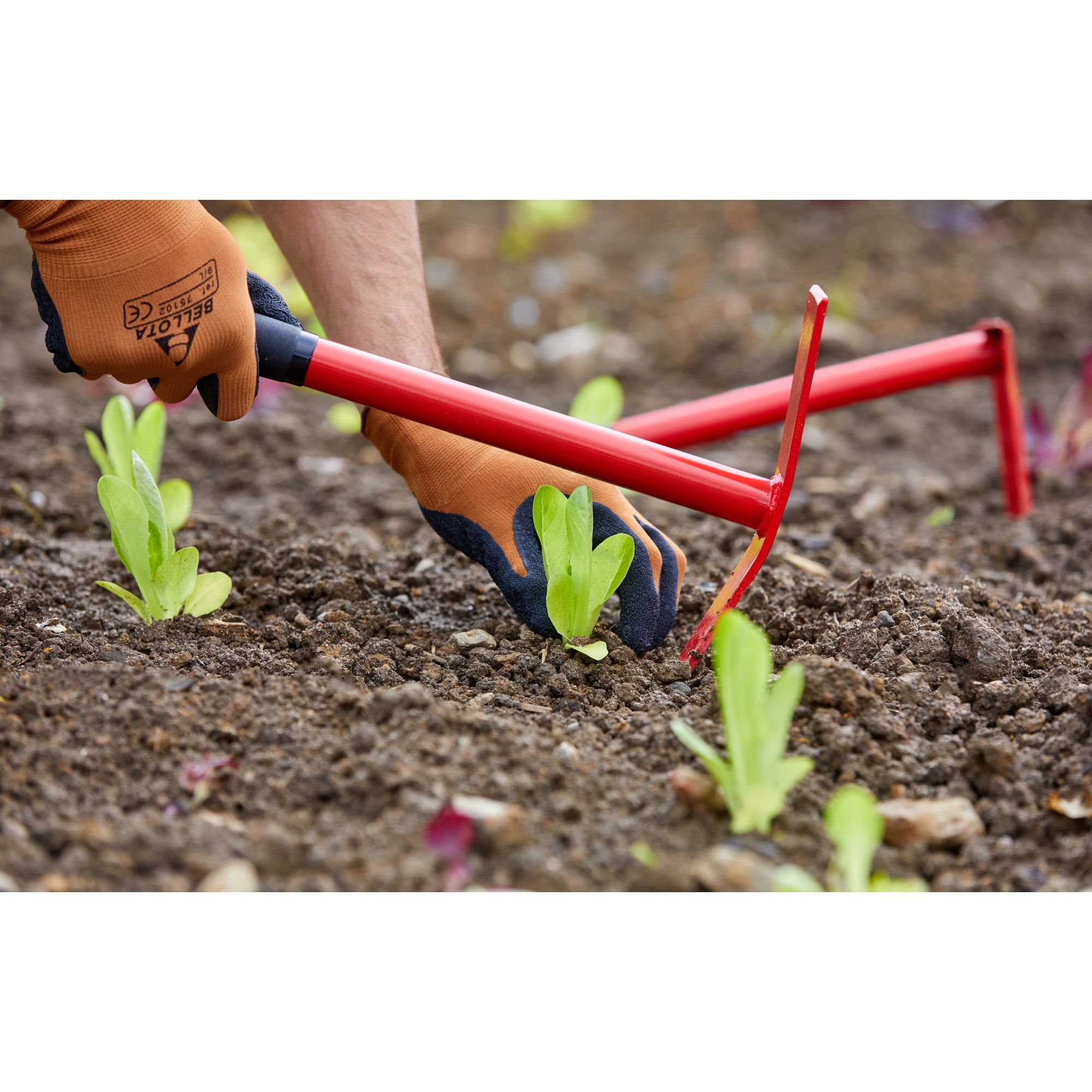 Planting Mattock