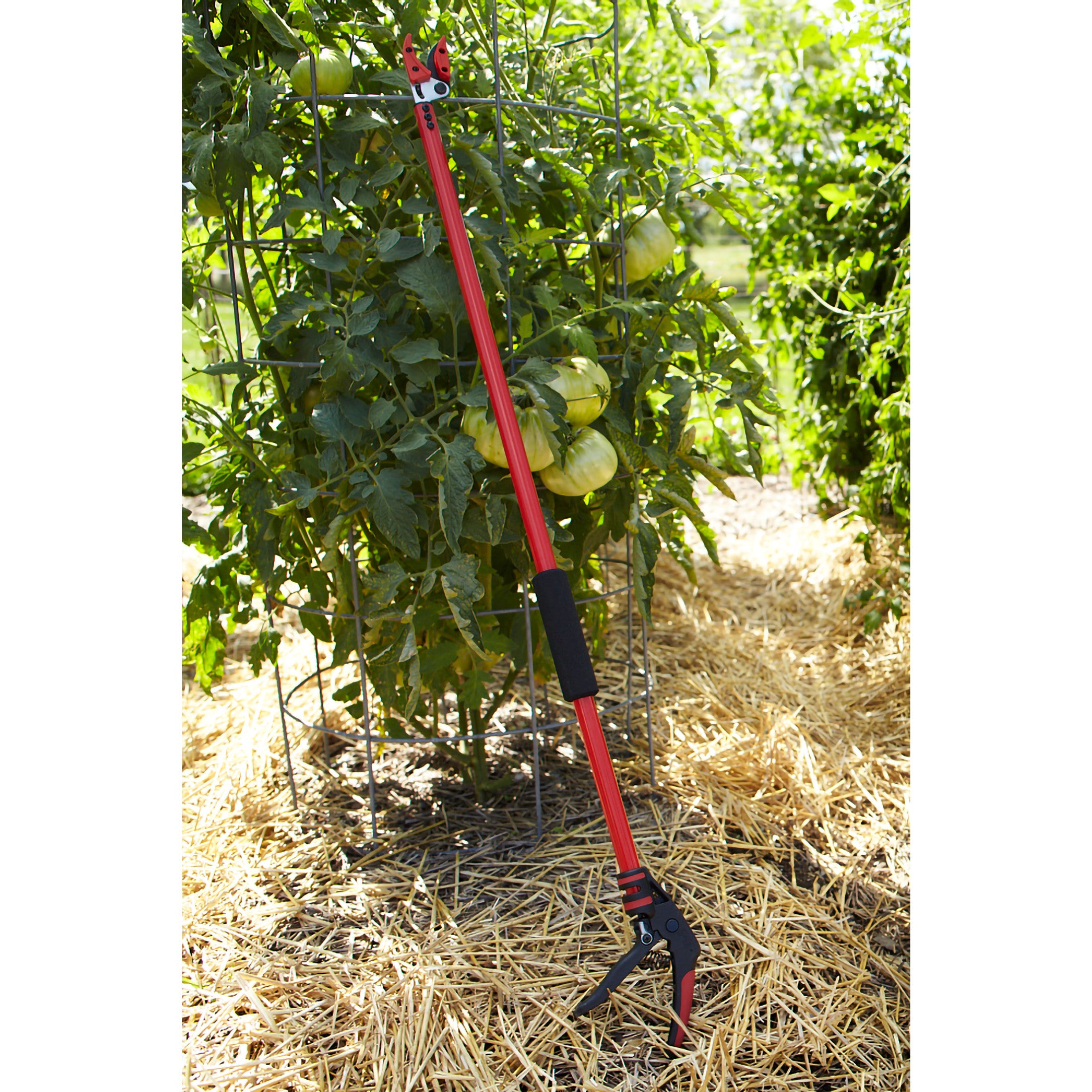 Cut 'n' HOLD Long Reach Bypass Pruner, 1/2 in. Cut Capacity