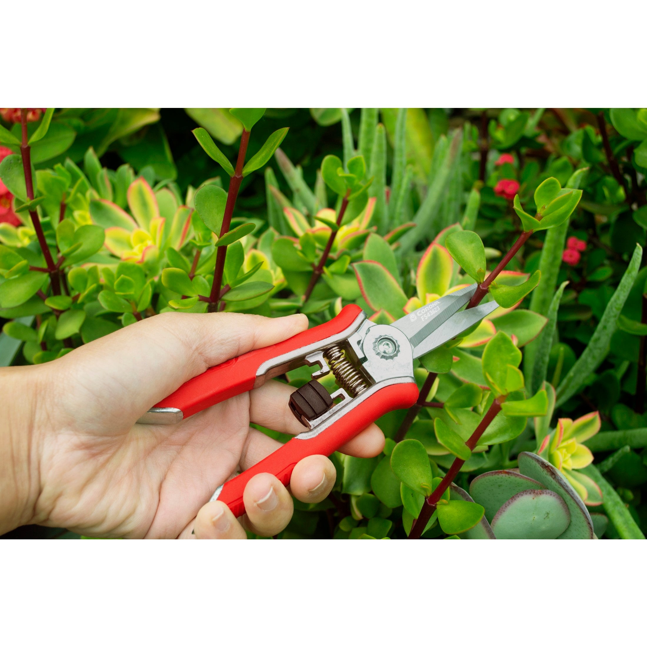 Yard Essentials Mini Floral Snips | Corona Clipper Inc.