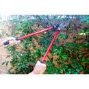 Shrub, Branch & Stem 3-Pc. Set-2