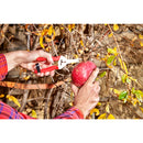 Long Curved Snips, 1-3/4 in. Stainless Steel Blades-8