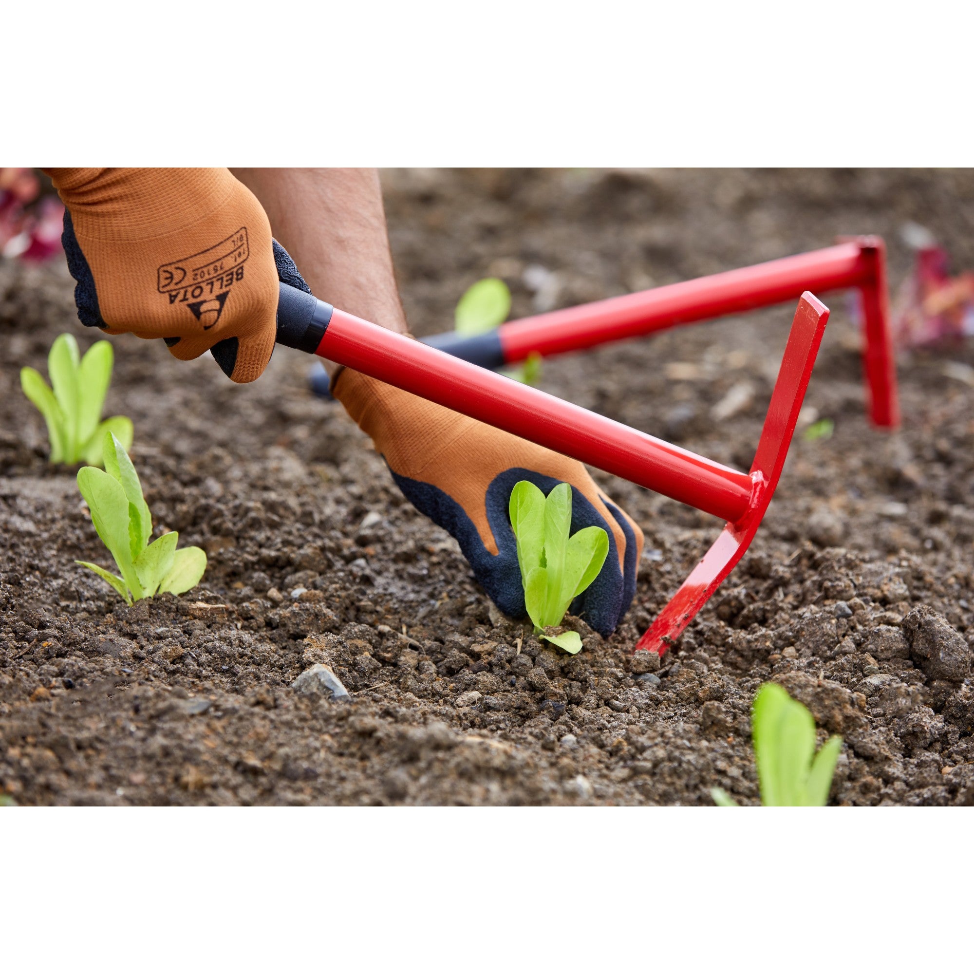 Planting Mattock