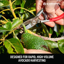 Avocado Shears-8